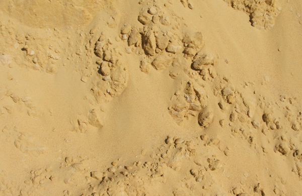 Некондиционный песок от 20м3